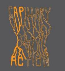 logo Capillary Action